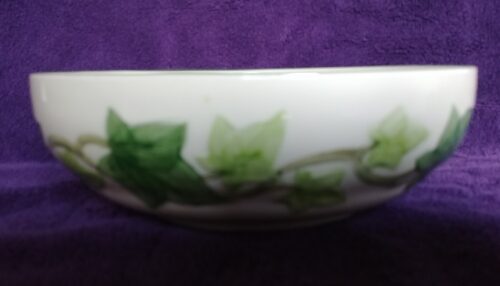 A bowl with green leaves on it