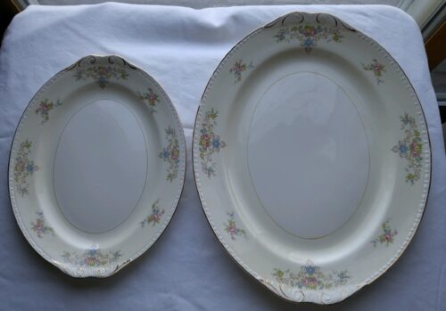 Two plates are sitting on a table.