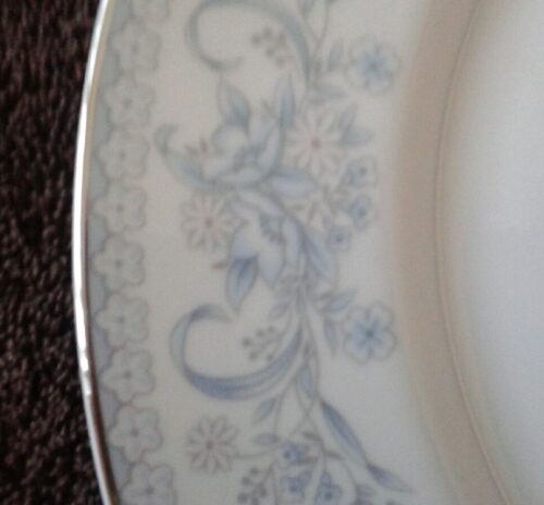 A close up of the plate with blue flowers on it