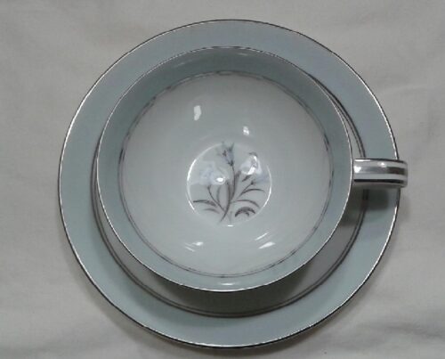 A cup and saucer with a floral design on it.