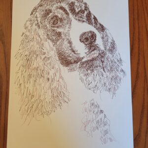 ENGLISH SPRINGER SPANIEL DOG ART PRINT